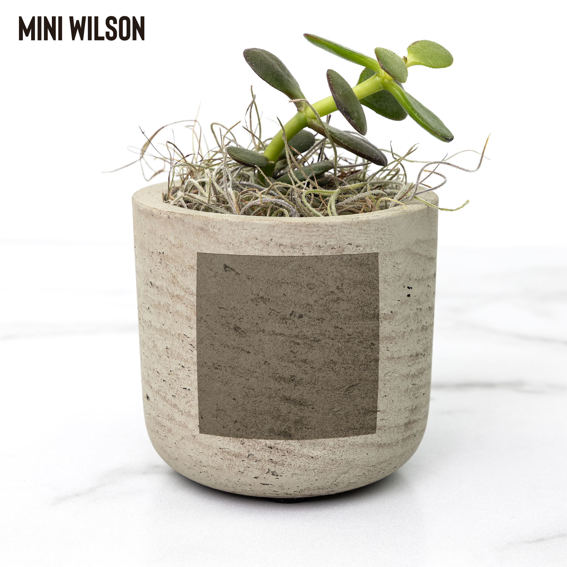Girl_Geek_Girl_Sheek_Planter_Wilson_Mockup_Mockup.png